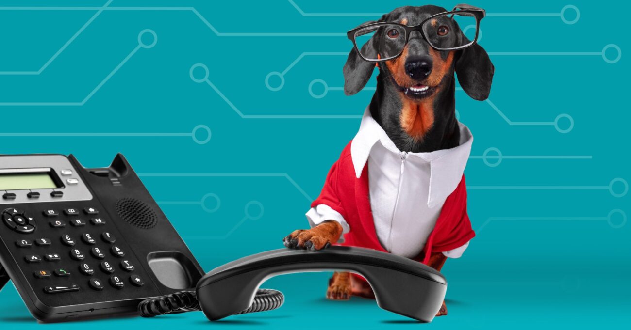 What is VoIP and why you need it