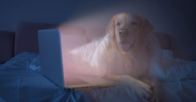 UPS to beat loadshedding and stay connected to the internet